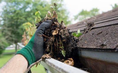 Clear the Way: Why Cleaning Gutters Protects Your Home