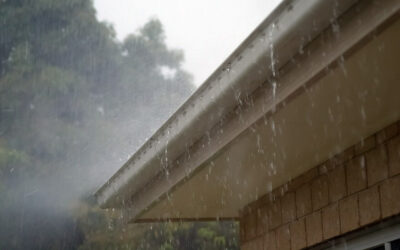 Stop the Pooling: Simple Ways to Improve Drainage on Your Property